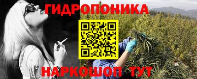 молекула духа Жуковский