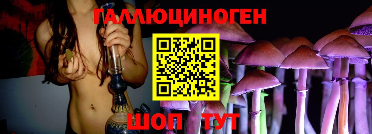Галлюциногенные грибы Psilocybe  Псилоцибиновые грибы Psilocybine cubensis  Бирск  Вход с VPN 